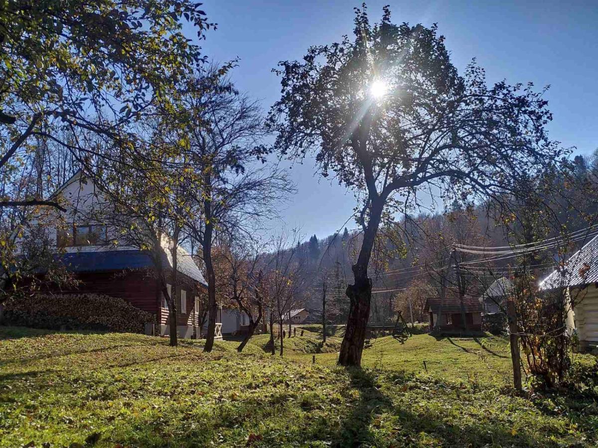 Sadyba Na Luzi Verkhne-Studenyy Exterior foto
