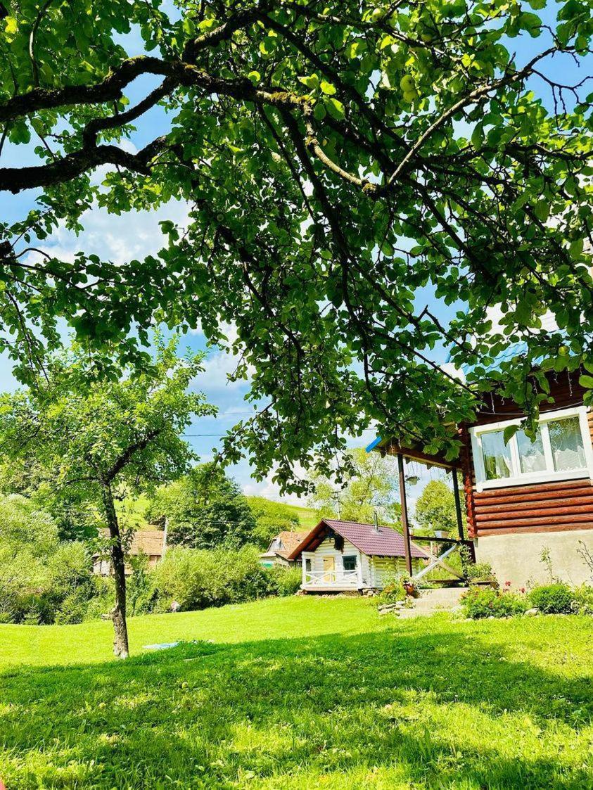 Sadyba Na Luzi Verkhne-Studenyy Exterior foto